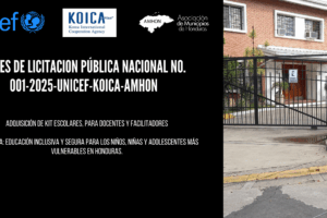 Bases de licitación 27-11-2025