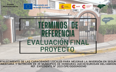 Portada tdr 19-11-2025