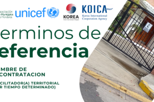 Portada TDR 19-12-2025