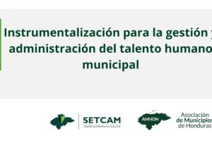 Portada de institucionalizacion