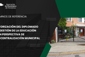 Tdr tutorizacion diplomado