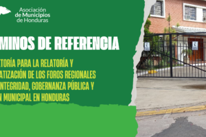TDR Relatoria