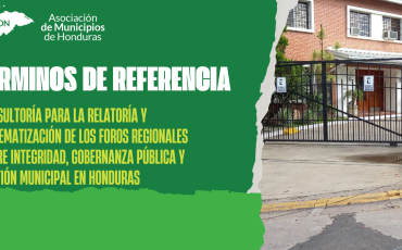 TDR Relatoria