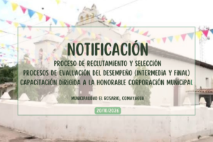 Notificaciones