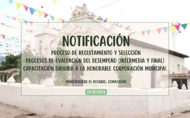 Notificaciones